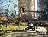 �T���F�����I6